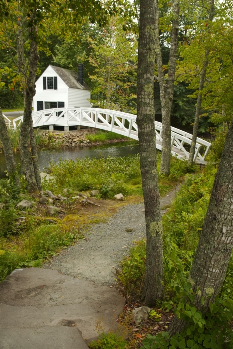 The Foot Bridge