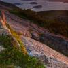 Cadillac Mountain - Sunrise