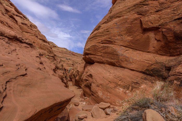 Mountain Sheep Canyon