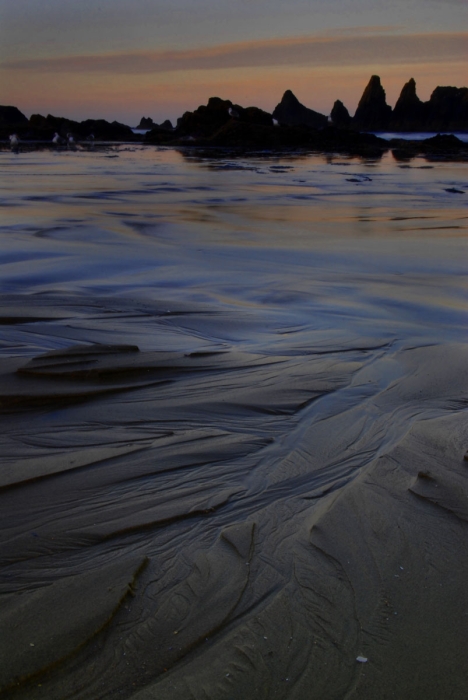 The Sharks' Teeth in HDR