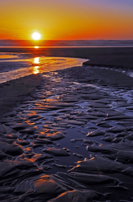 Nye Beach