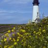 Yaquina Lighthouse