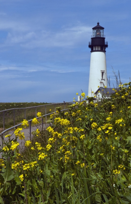 Yaquina Lighthouse