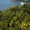 Haceta Head Lighthouse