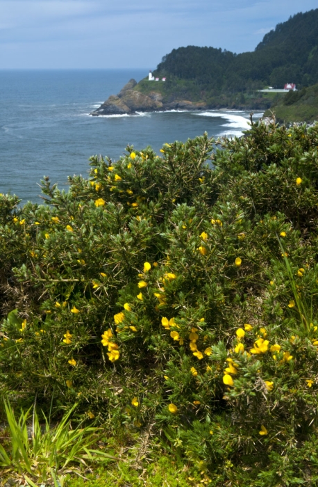 Haceta Head Lighthouse