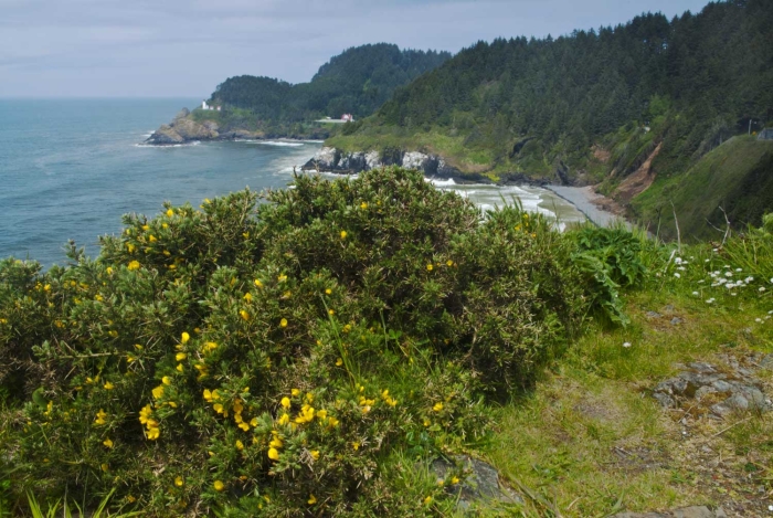 Haceta Head Lighthouse