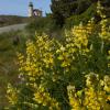 Coquille Lighthouse