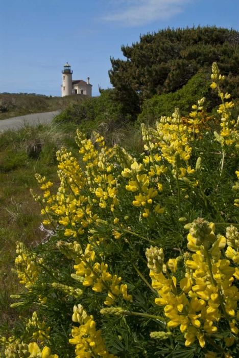 Coquille Lighthouse