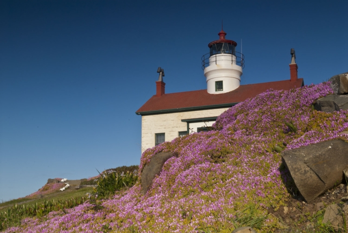 Battery Point Lighthouse