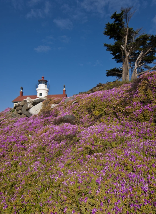 Ice Plant at Battery Point Lighthouse