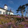 Battery Point and Cypress Trees