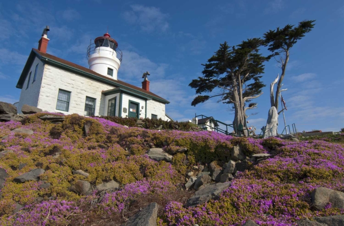 Battery Point and Cypress Trees