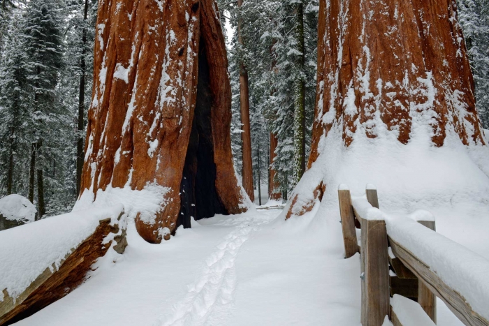 Pathway Through the Giants