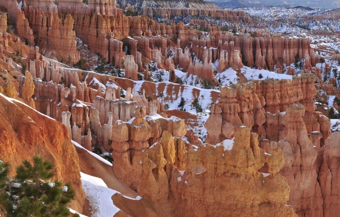 Bryce Canyon Panoramic +