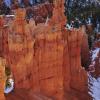 Bryce Canyon Vertical Panoramic 