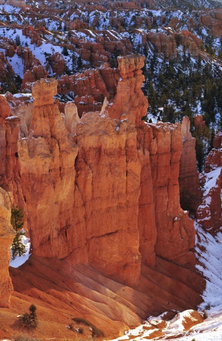 Bryce Canyon Vertical Panoramic 