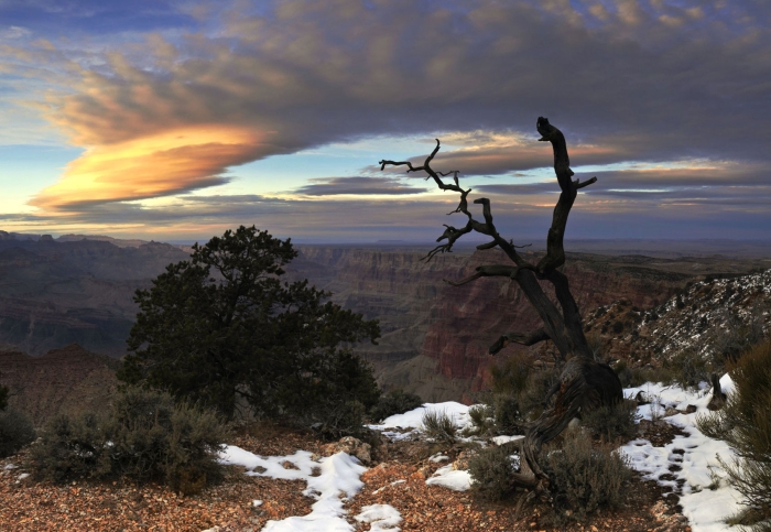 South Rim of the Grand Canyon +