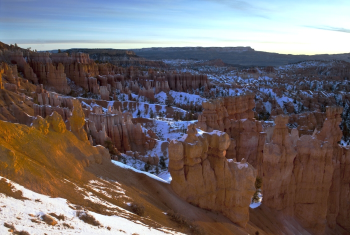 Early Morning in Bryce +