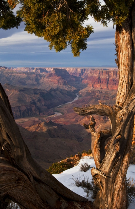 The Colorado River