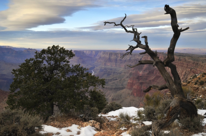 Late Afternoon at Desert View