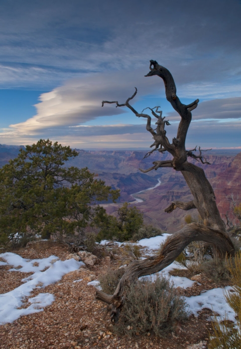 Desert View Evening