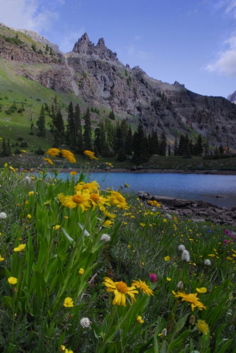 Silver Basin