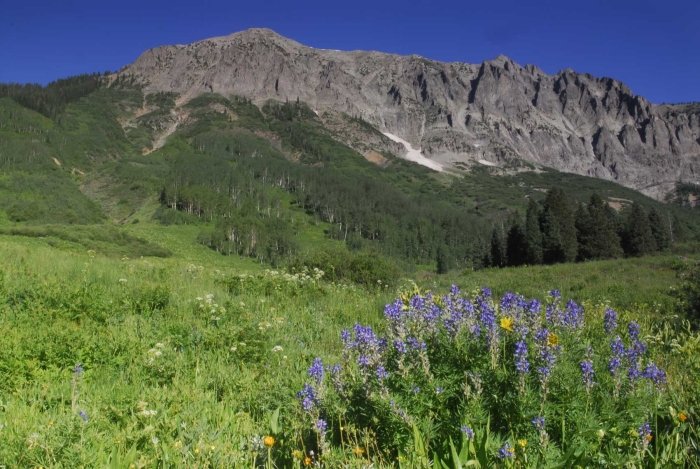 Gothic Mountain