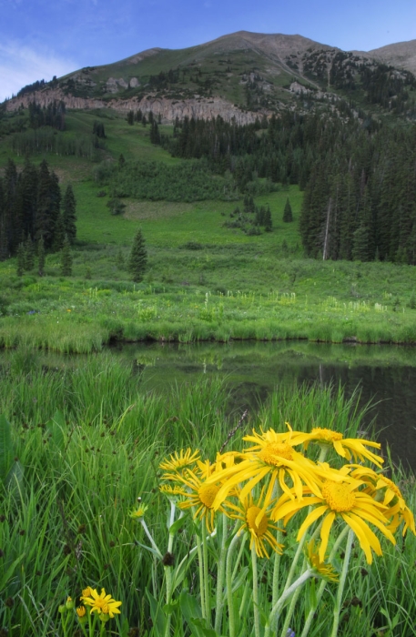 Washington Gulch