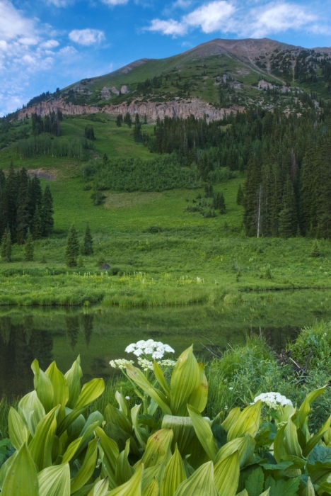 Washington Gulch Reflections