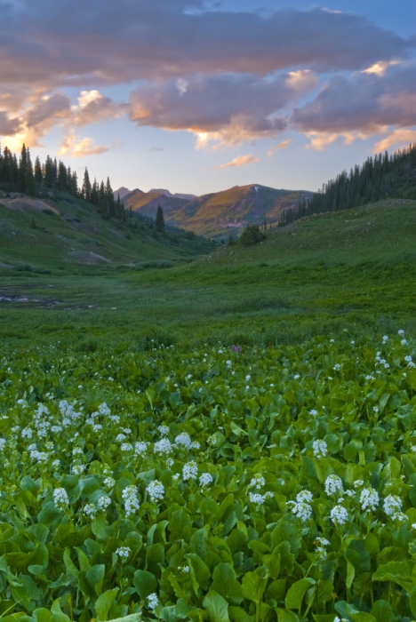 Sunset in Paradise Basin