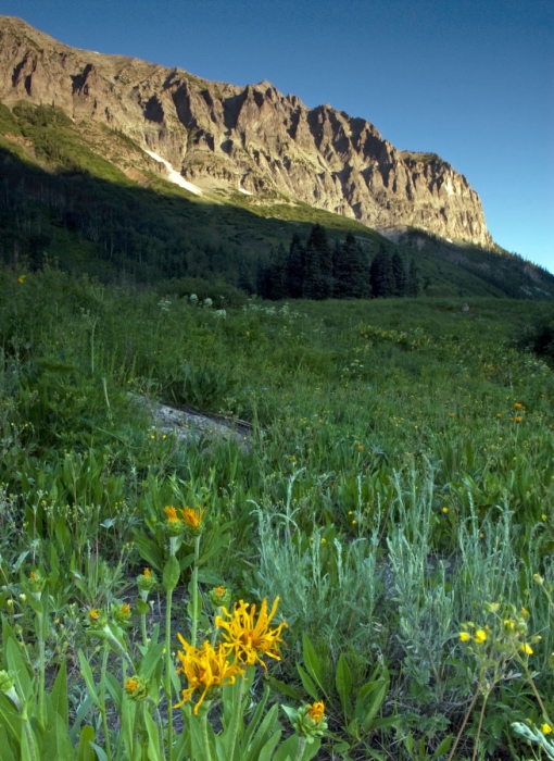 Sunrise on Gothic Mountain