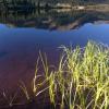 Molas Lake Reflections