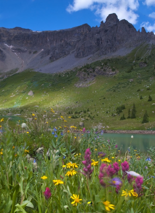 Silver Basin