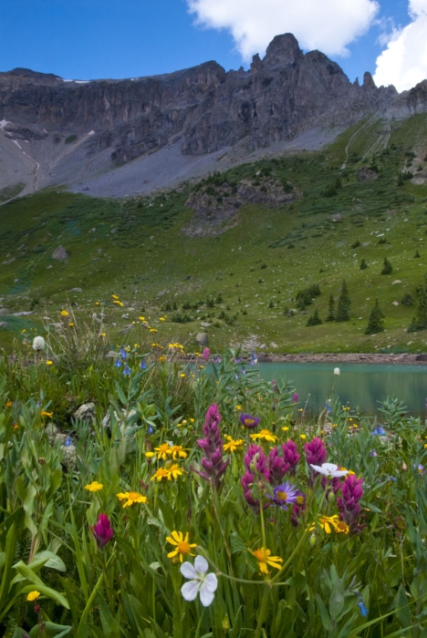 Silver Basin Color