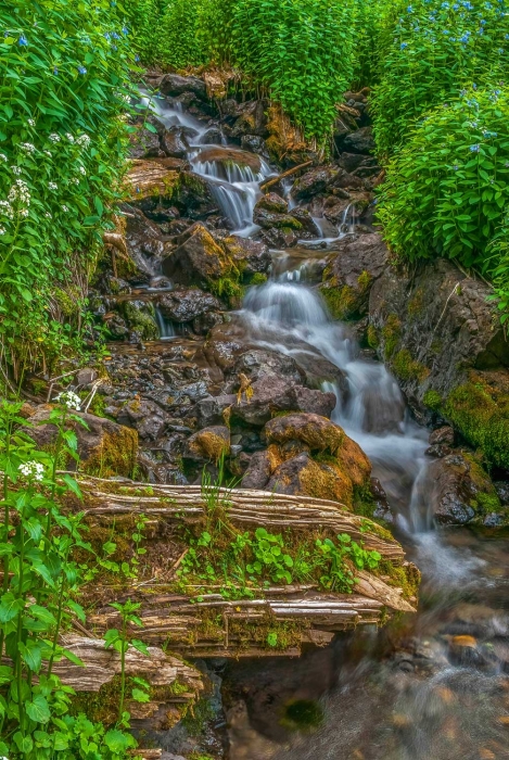 Silver Creek Stairsteps 