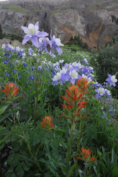 Yankee Boy Basin +