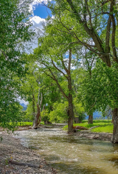 Spring Runoff