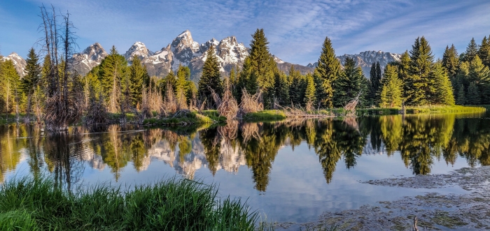 Schwabacher Morning Panoramic