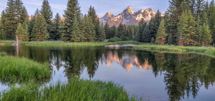 Schwabacher Morning