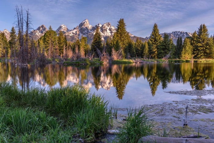 Schwabacher Landing