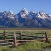 The Fence Line