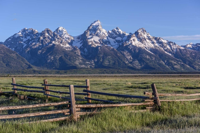 The Fence Line