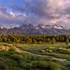 Blacktail Ponds