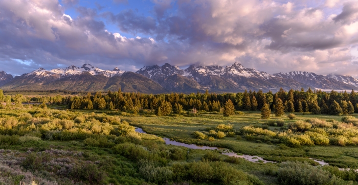 Blacktail Ponds