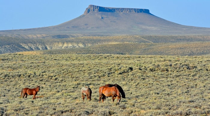 Pilot Butte