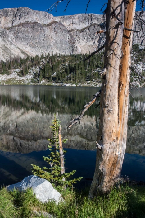 Mirror Lake Reflection